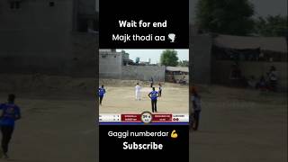 cricket cricketlover new tournament tournamet viralvideos viralshorts cricketfans viralreel [upl. by Winnie]