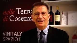 Accademia del Magliocco presentazione al Vinitaly [upl. by Langham456]