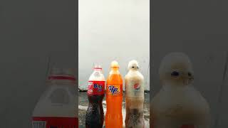 Bigicola Poporange Pepsi vs Mentos [upl. by Ajnek]