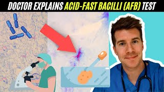 Doctor explains AcidFast Bacilli AFB test  Mycobacterium Tuberculosis TB [upl. by Culbertson]