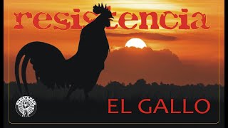 El Gallo [upl. by Kelila]