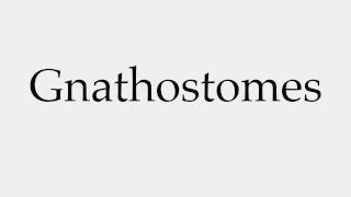 How to Pronounce Gnathostomes [upl. by Casper]