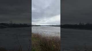 Hochwasser Dresden  Alarmstufe 2 am 25122023  Blick von Pieschen  Mickten Watzke [upl. by Araas]