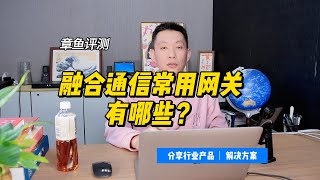 融合通信系统常用的网关有哪些？ [upl. by Lipscomb]