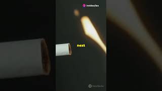 How Smoking Damages Your Body in 3D [upl. by Genesa]