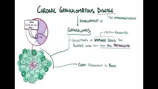 Chronic granulomatous diseases شرح بالعربي [upl. by Hadden]