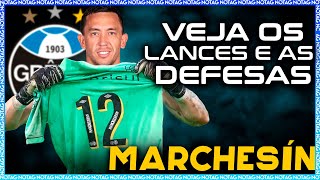 BEM VINDO AO GRÊMIO AUGUSTIN MARCHESÍN LANCES E DEFESAS 2024 [upl. by Emia]