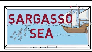 Fun Facts What is so special about the Sargasso Sea  World Geography geography [upl. by Carney917]