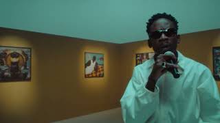 Mr Eazi  Advice Performance Video [upl. by Salesin]