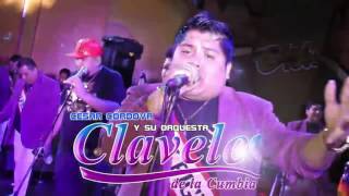 MIX GUILLER  LOS CLAVELES DE LA CUMBIA ★PRIMICIA★2016★ [upl. by Adamec28]