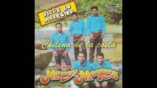 Musical Morelos  3 Chilena de la costa Audio [upl. by Ennazzus]