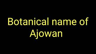 Botanical name of Ajowan  Scientific name of Ajowan [upl. by Aivon]