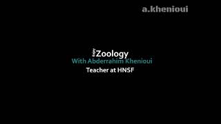 Zoology course Chapter 2 Protozoa resume [upl. by Yesdnil]