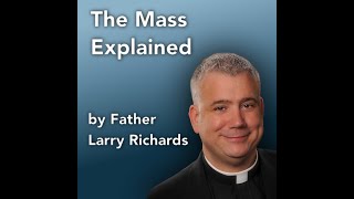 The Mass Explained by Fr Larry Richards  from Catholicitycom [upl. by Whitebook833]