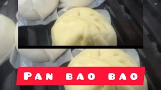 😋😋 Pan Bao Bao 😋😋 [upl. by Nuahsad]