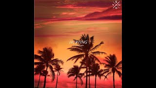 Kygo  Hurting Clean feat Rhys Lewis [upl. by Ariajay783]