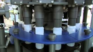 Automatic rotary monoblock filling and capping machine ICE  Acid detergents [upl. by Orenid]