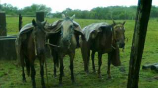 Gaúchos de Fato  Grupo Rodeio [upl. by Wulf]