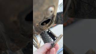 Check for THIS Before Cleaning Your Bike [upl. by Winchell180]