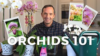 Caring for Orchids A StepbyStep Guide [upl. by Avihs]