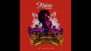 DJ Flex  Meliza Official Audio [upl. by Neema]