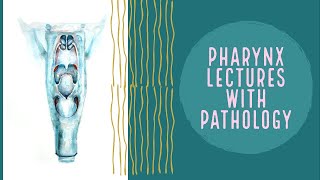 PHARYNX lecture 1 ANATOMY AND PHYSIOLOGY OF PHARYNX made easy [upl. by Jael]