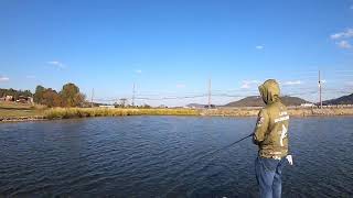 Live Lake Guntersville Bass fishing [upl. by Airet337]