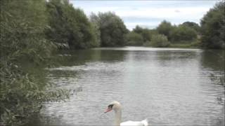 LONGFORD FISHERY LONGFORD ASHBOURNE DERBYSHIRE [upl. by Dranel]