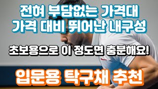 입문용 탁구채 추천ㅣ가성비 좋은 저렴한 가격으로 구입할 수 있는 탁구 라켓만 모았어요 [upl. by Enitsyrk844]