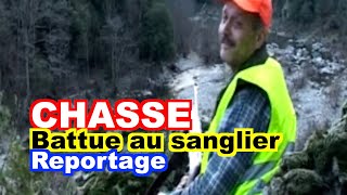 CHASSE  Battue au sanglier en Ardèche [upl. by Concha]