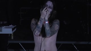 Finntroll  Nattfodd Live in StPetersburg Russia 29012016 FULL HD [upl. by Aerb]