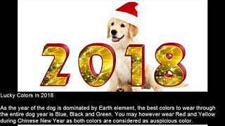 Feng Shui for 2018  All You to Know About Dog Year [upl. by Dearman231]