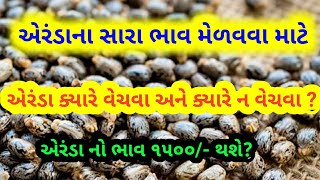 information about all castor seeds crops price in Gujarat marketing yard [upl. by Aplihs]