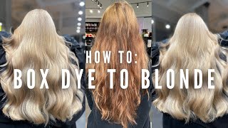 Hair Disaster Transforming Box dye to Blonde in one appointment with no breakage  tutorial [upl. by Neumeyer]