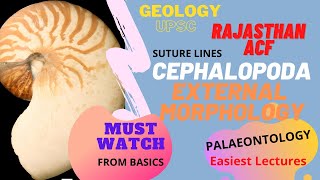 CEPHALOPODS External Morphology SUTURE LINES  Geology Plaeontology UPSCOptional RPSC ACF [upl. by Mechling]