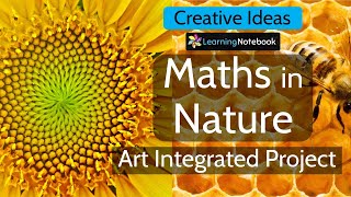 Maths in Nature  Maths in Nature Project [upl. by Dutch]