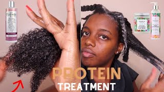 How To 4C Hair Protein Treatment amp Detox Wash Day  Botanika Beauty x Flora amp Curl [upl. by Yereffej512]