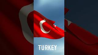 Questions about turkey turkey information shorts [upl. by Harias]