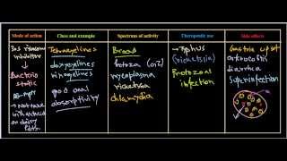 Tetracycline antibiotics [upl. by Angelique]