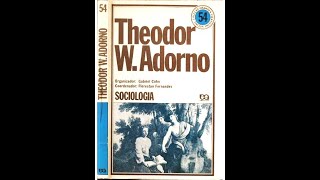 CAPITALISMO TARDIO OU SOCIEDADE INDUSTRIAL  THEODOR ADORNO [upl. by Nova]