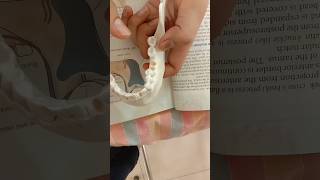 mandible osteology anatomy mbbs1st year gmc motivation afmc neet medicalcollegedream mbbs [upl. by Fabyola877]