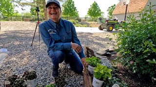 Planting 3 Full Sun amp 3 Shade Containers in My Parent’sGarden 🥰🪴🌸  Garden Answer [upl. by Ogdan700]