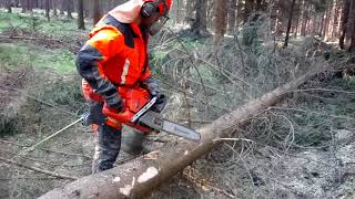 TEST Chainsaw Husqvarna 572XP TEST [upl. by Nonnair]