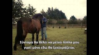 Starting with Natural Horsemanship  Exercises Part 1 [upl. by Alpert]