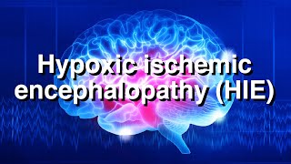 Hypoxic Ischemic Encephalopathy HIE [upl. by Oirramaj]