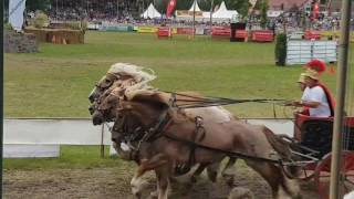 Titanen der Rennbahn in Brück 2017 Römerwagen Rennen [upl. by Anaeel920]