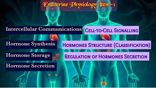 Intercellular Communications  Hormone ClassificationSynthesis Secretion EliminationRegulation [upl. by Ayk]