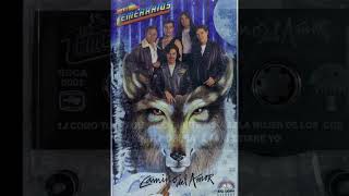 Los Temerarios  Mi alma reclama audio HQ HD [upl. by Effie]