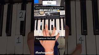 Tutorial Piano Stay Funny Easy Foryou Share Video Full Real Divertido fyp short viral music [upl. by Reinhold]