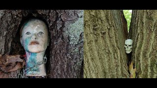 Creepy Geocache Finds [upl. by Dahsar]